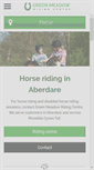 Mobile Screenshot of greenmeadow-ridingcentre.co.uk
